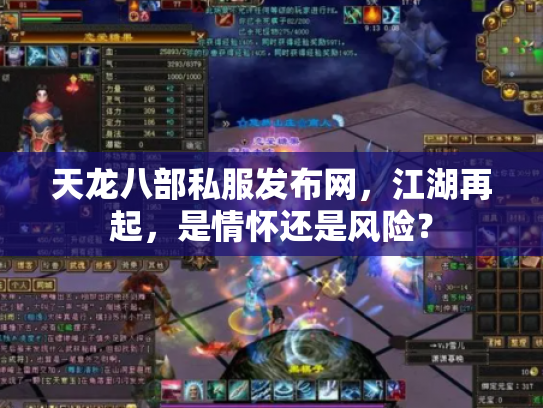 天龙八部私服发布网，江湖再起，是情怀还是风险？