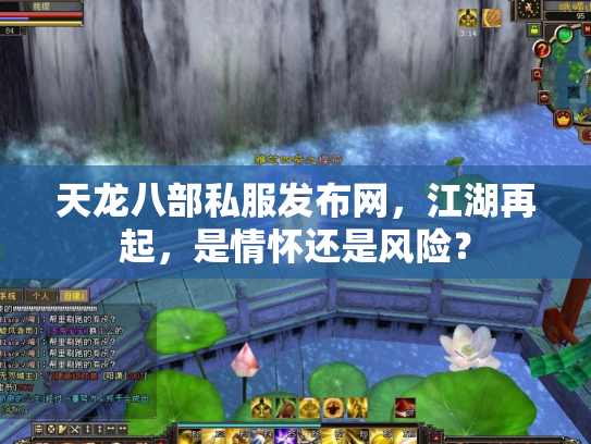 天龙八部私服发布网，江湖再起，是情怀还是风险？