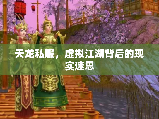 天龙私服，虚拟江湖背后的现实迷思