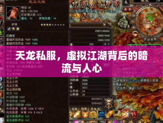 天龙私服，虚拟江湖背后的暗流与人心