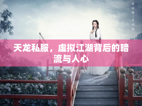 天龙私服，虚拟江湖背后的暗流与人心