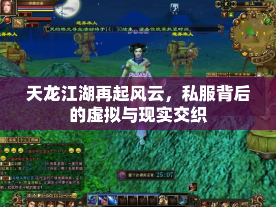 天龙江湖再起风云，私服背后的虚拟与现实交织