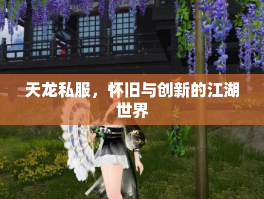 天龙私服，怀旧与创新的江湖世界