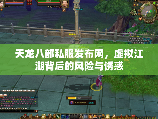 天龙八部私服发布网，虚拟江湖背后的风险与诱惑