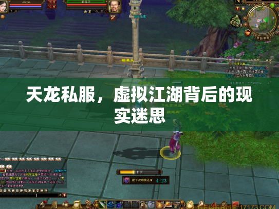 天龙私服，虚拟江湖背后的现实迷思