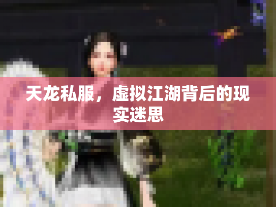 天龙私服，虚拟江湖背后的现实迷思