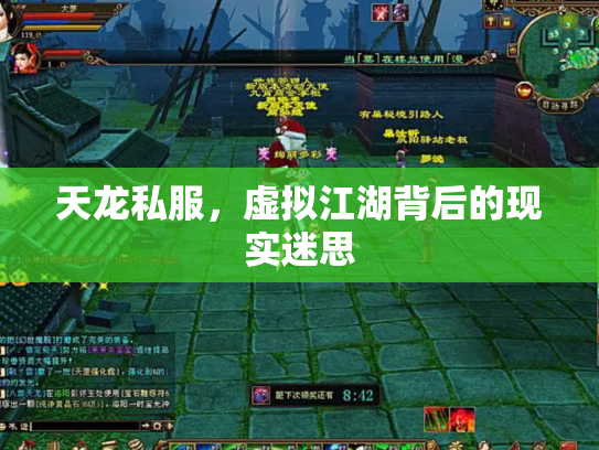 天龙私服，虚拟江湖背后的现实迷思