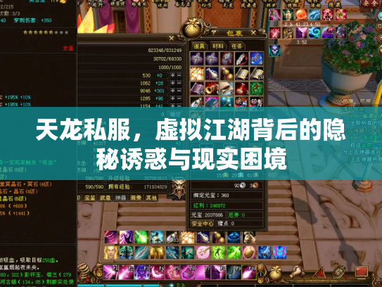 天龙私服，虚拟江湖背后的隐秘诱惑与现实困境