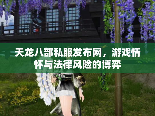 天龙八部私服发布网，游戏情怀与法律风险的博弈