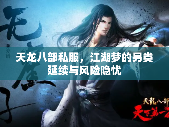 天龙八部私服，江湖梦的另类延续与风险隐忧
