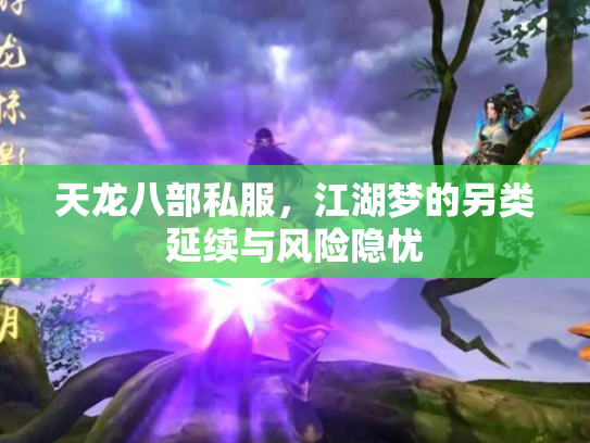 天龙八部私服，江湖梦的另类延续与风险隐忧