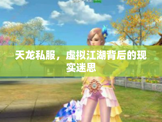 天龙私服，虚拟江湖背后的现实迷思