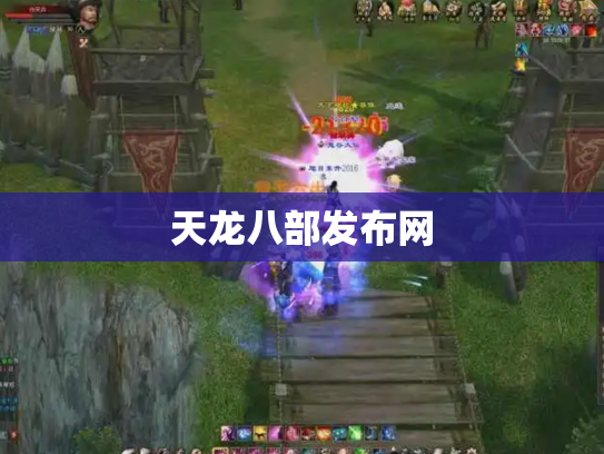 天龙八部发布网