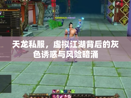 天龙私服，虚拟江湖背后的灰色诱惑与风险暗涌