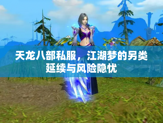 天龙八部私服，江湖梦的另类延续与风险隐忧