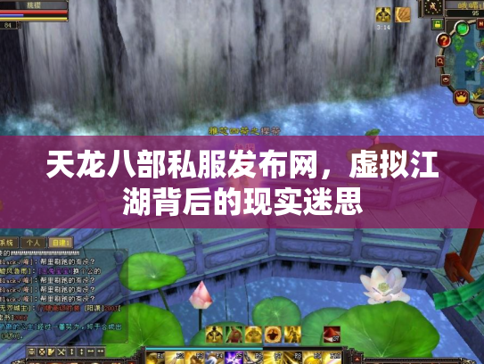 天龙八部私服发布网，虚拟江湖背后的现实迷思