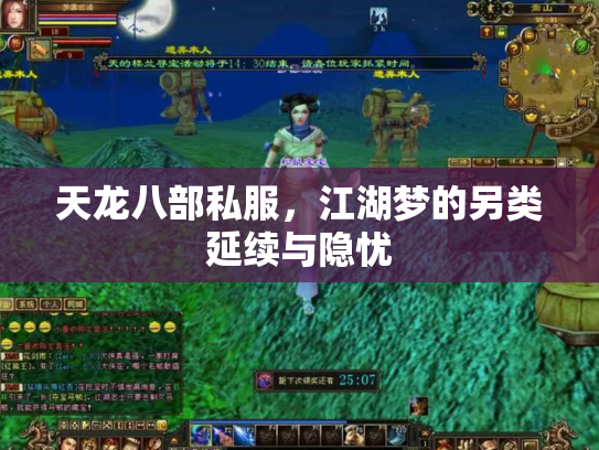 天龙八部私服，江湖梦的另类延续与隐忧