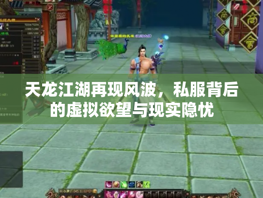 天龙江湖再现风波，私服背后的虚拟欲望与现实隐忧