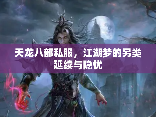 天龙八部私服，江湖梦的另类延续与隐忧