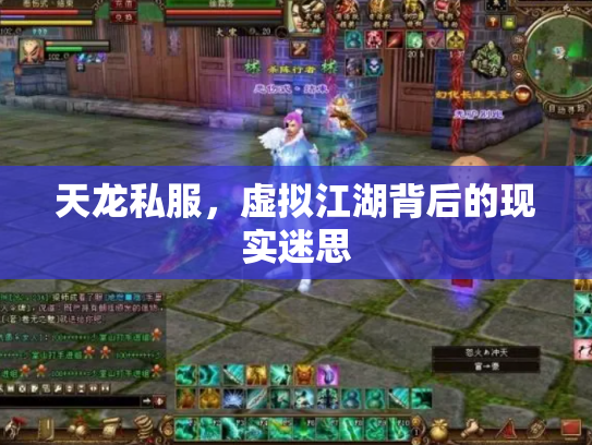天龙私服，虚拟江湖背后的现实迷思