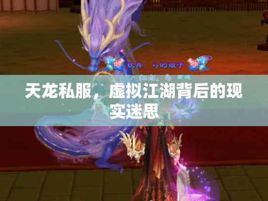 天龙私服，虚拟江湖背后的现实迷思