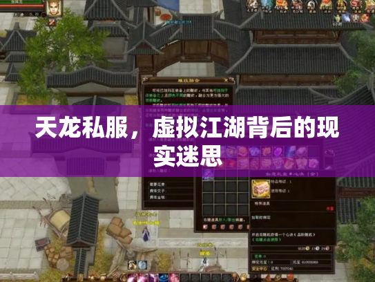 天龙私服，虚拟江湖背后的现实迷思
