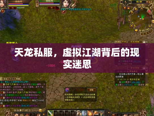 天龙私服，虚拟江湖背后的现实迷思