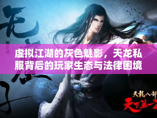 虚拟江湖的灰色魅影，天龙私服背后的玩家生态与法律困境