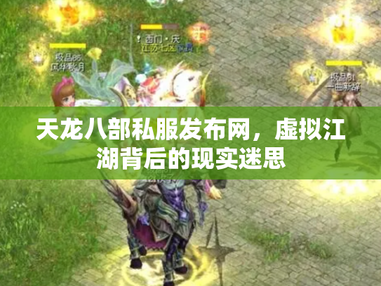 天龙八部私服发布网，虚拟江湖背后的现实迷思
