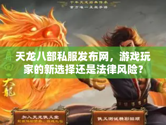 天龙八部私服发布网，游戏玩家的新选择还是法律风险？