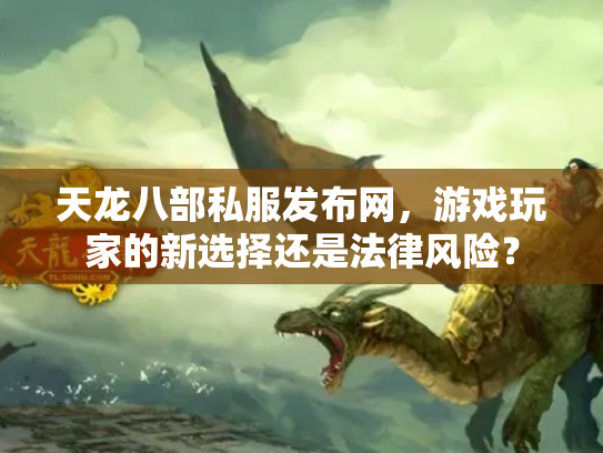天龙八部私服发布网，游戏玩家的新选择还是法律风险？