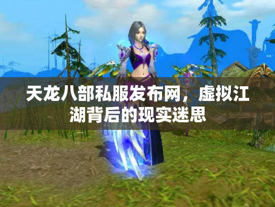 天龙八部私服发布网，虚拟江湖背后的现实迷思