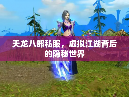天龙八部私服，虚拟江湖背后的隐秘世界