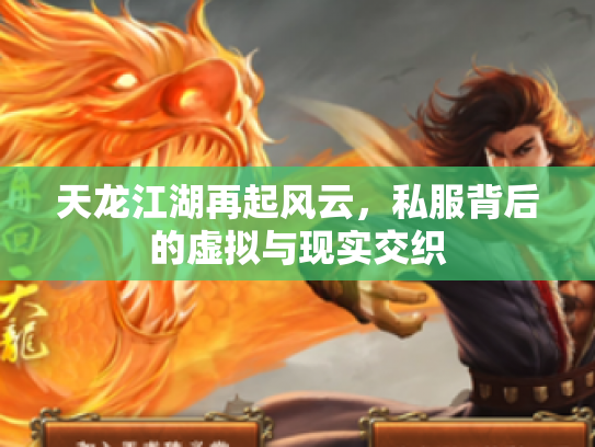 天龙江湖再起风云，私服背后的虚拟与现实交织