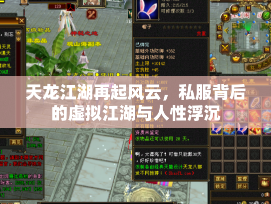 天龙江湖再起风云，私服背后的虚拟江湖与人性浮沉