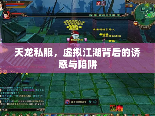 天龙私服，虚拟江湖背后的诱惑与陷阱