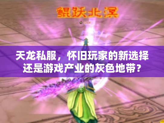 天龙私服，怀旧玩家的新选择还是游戏产业的灰色地带？