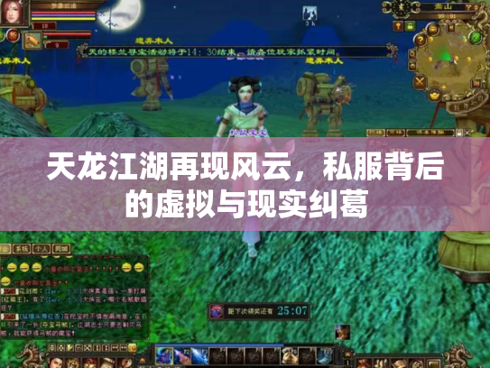 天龙江湖再现风云，私服背后的虚拟与现实纠葛