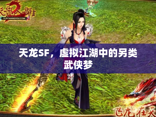 天龙SF，虚拟江湖中的另类武侠梦