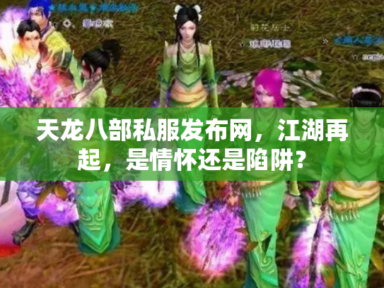 天龙八部私服发布网，江湖再起，是情怀还是陷阱？