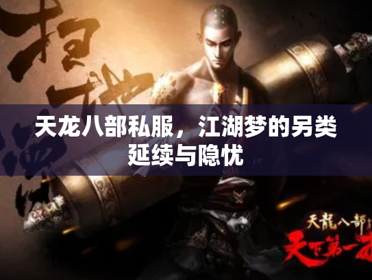 天龙八部私服，江湖梦的另类延续与隐忧