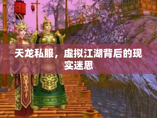天龙私服，虚拟江湖背后的现实迷思
