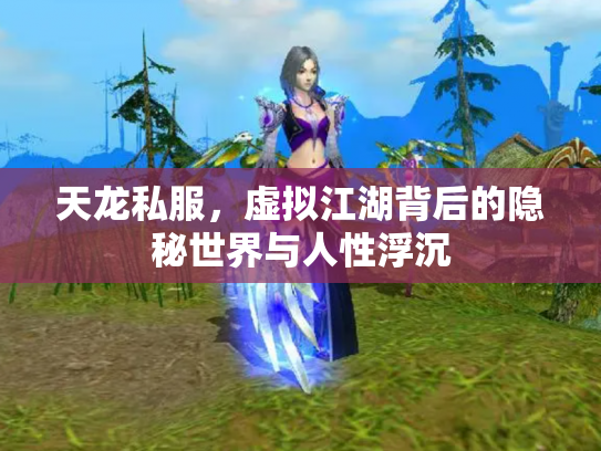 天龙私服，虚拟江湖背后的隐秘世界与人性浮沉