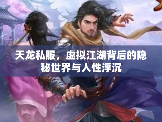 天龙私服，虚拟江湖背后的隐秘世界与人性浮沉