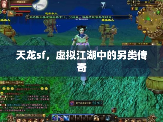 天龙sf，虚拟江湖中的另类传奇