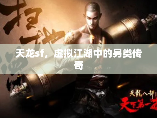 天龙sf，虚拟江湖中的另类传奇