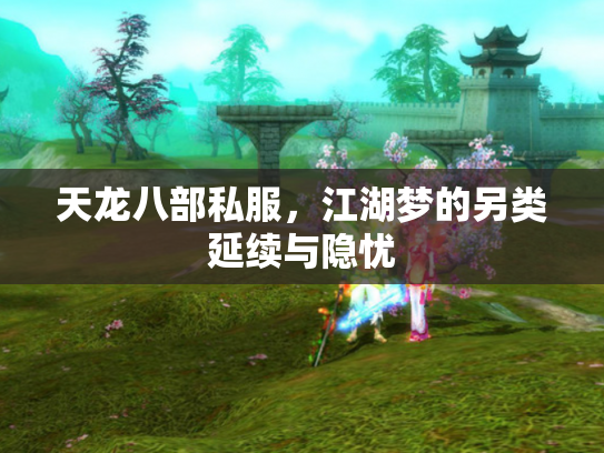 天龙八部私服，江湖梦的另类延续与隐忧
