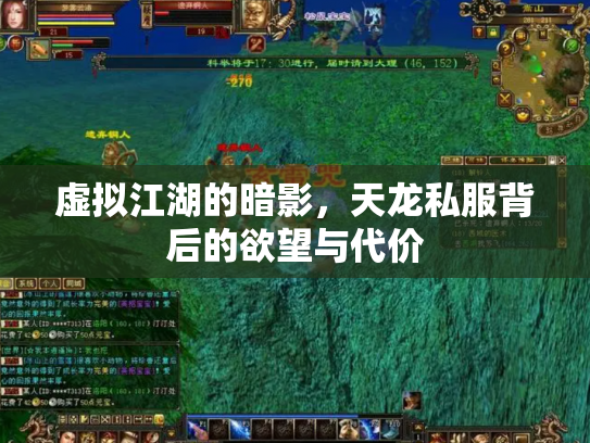 虚拟江湖的暗影，天龙私服背后的欲望与代价