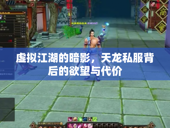 虚拟江湖的暗影，天龙私服背后的欲望与代价