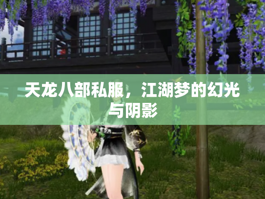 天龙八部私服，江湖梦的幻光与阴影